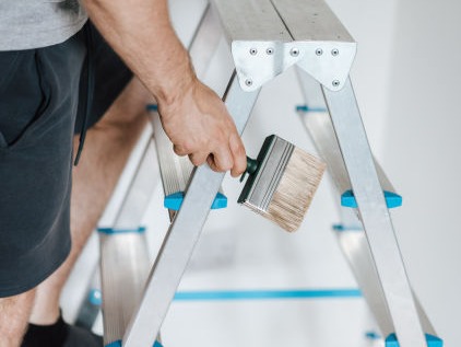 adder and paint brush - Photo by Anete Lusina from Pexels